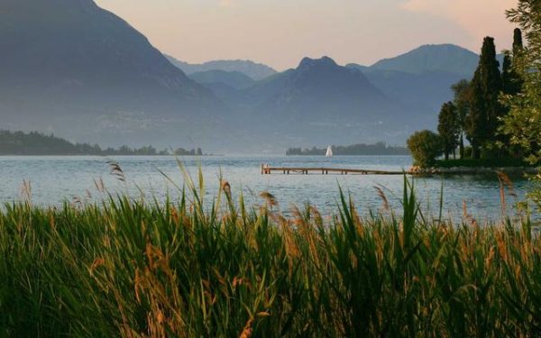 Live-TV Streaming 2026 – Die besten Anbieter fuer Fernsehen ohne Kabelanschluss